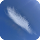 Feather Touch? 🤔, Vroobel