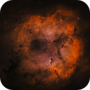 Elephant Trunk Nebula, Bozo